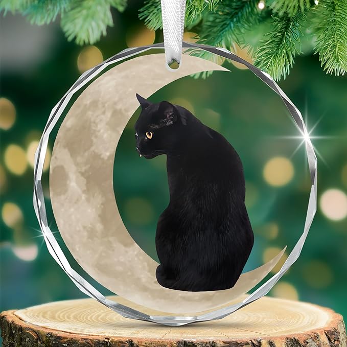 OASSIE Christmas Black Cat Gifts for Women Men - Glass Christmas Ornaments 2025 for Tree Decorations - Funny Cat Lover Gifts for Women Animal Lovers, Funny Ornaments for Xmas Decorations