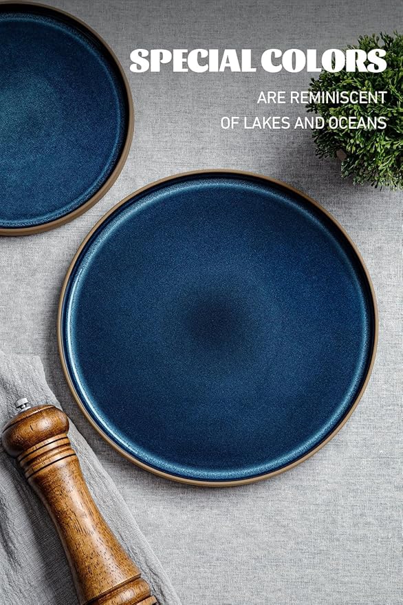 Famiware Nature Plates and Bowls Set, 18 Pieces Dinnerware Sets, Dishware Sets, Dishes Set for 6, Microwave and Dishwasher Safe, Midnight Blue