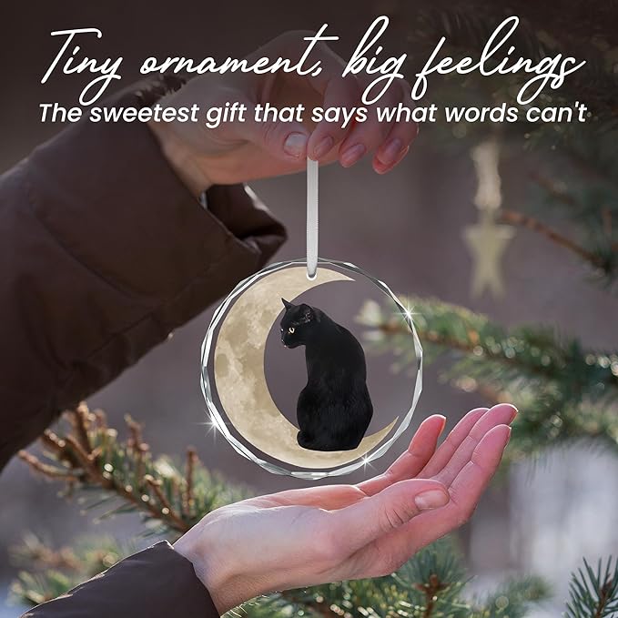 OASSIE Christmas Black Cat Gifts for Women Men - Glass Christmas Ornaments 2025 for Tree Decorations - Funny Cat Lover Gifts for Women Animal Lovers, Funny Ornaments for Xmas Decorations