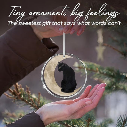 OASSIE Christmas Black Cat Gifts for Women Men - Glass Christmas Ornaments 2025 for Tree Decorations - Funny Cat Lover Gifts for Women Animal Lovers, Funny Ornaments for Xmas Decorations