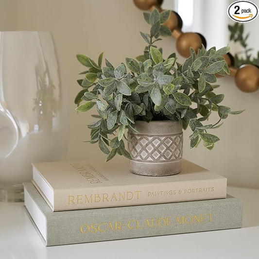 Beautiful Decorative Books - Set of 2 Linen Boxes Enhance Your Table, Bookshelf or Mantel Decor - Aesthetic Fake/Faux Books for Modern Home Decoration, Photo Storage and as a Keepsake Box