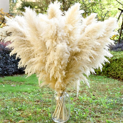 40" 11 PCS Dried Pampas Grass Decor Tall,Large Natural Beige pompas Grass,Tall Pampas Grass for Floor Vase,Wedding Decoration,Party,Farmhouse,Boho Home Decor,and Creating a Bohemian Ambiance