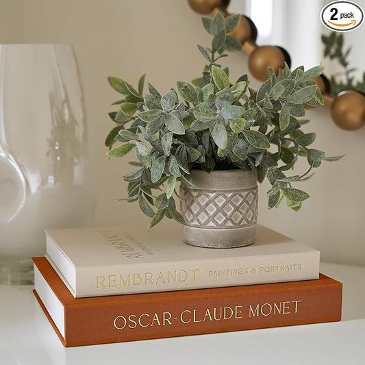Beautiful Decorative Books - Set of 2 Linen Boxes Enhance Your Table, Bookshelf or Mantel Decor - Aesthetic Fake/Faux Books for Modern Home Decoration, Photo Storage and as a Keepsake Box