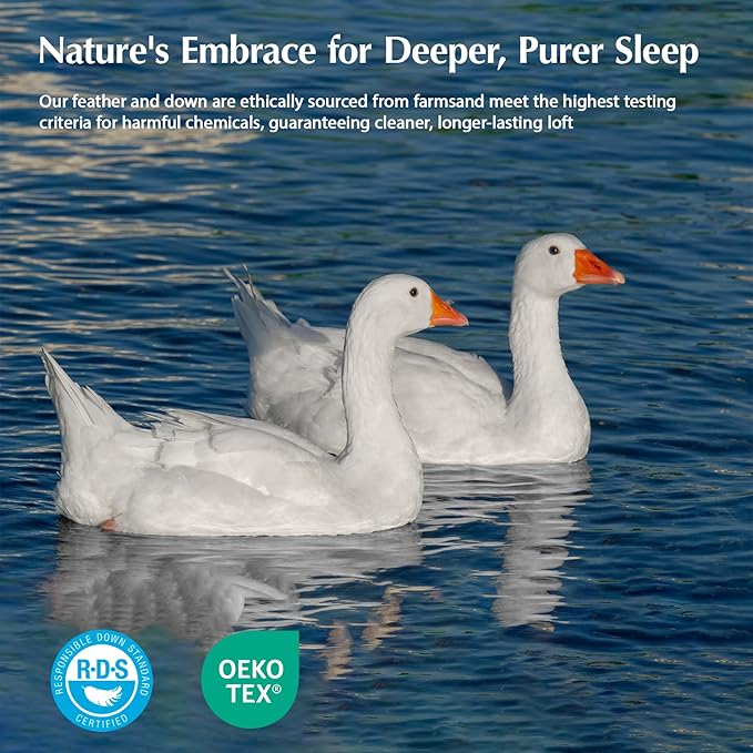 Pacific Coast Goose Feather Down Fiber Comforters King Size, Extra Fluffy White Duvet Insert, Ultra-Soft, Breathable, All Season Hotel Luxury Bedding Comforters, 8 Corner & Center Loops (106"x90")