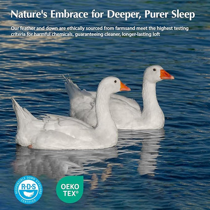 Pacific Coast Goose Feather Down Fiber Comforters King Size, Extra Fluffy White Duvet Insert, Ultra-Soft, Breathable, All Season Hotel Luxury Bedding Comforters, 8 Corner & Center Loops (106"x90")