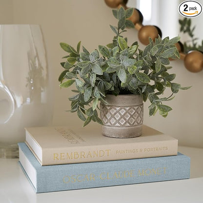 Beautiful Decorative Books - Set of 2 Linen Boxes Enhance Your Table, Bookshelf or Mantel Decor - Stylish Fake/Faux Books for Modern Home Decoration, Photo Storage and as a Keepsake Box