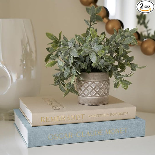 Beautiful Decorative Books - Set of 2 Linen Boxes Enhance Your Table, Bookshelf or Mantel Decor - Stylish Fake/Faux Books for Modern Home Decoration, Photo Storage and as a Keepsake Box