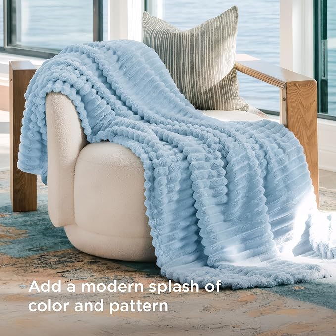 Bedsure GentleSoft Blue Fleece Blanket for - Cozy Soft Blankets for Women, Cute Small Throws for Girls, Spring Decorations for Home, Light Blue, 50x60 Inches