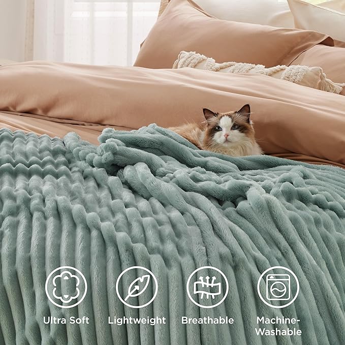 Bedsure GentleSoft Twin Blanket for - Cozy Soft Blankets for Women, Cute Small Fleece Throws for Girls, Sage Green, 60x80 Inches