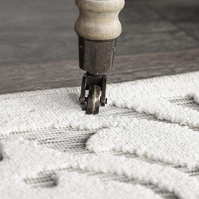 My Texas House Lady Bird Area Rug 3.11x5.5 Indoor Outdoor, Natural Grey