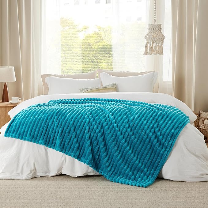 Bedsure Teal Fleece Blanket for - Super Soft Cozy Twin Blankets for Women, Cute Small Throws for Girls, 60x80 Inches
