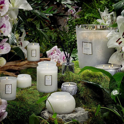 Voluspa Mokara, Large Candle Jar, 18 oz, 100 Hour Burn Time, Coconut Wax for Clean Burning, Handcrafted in the USA