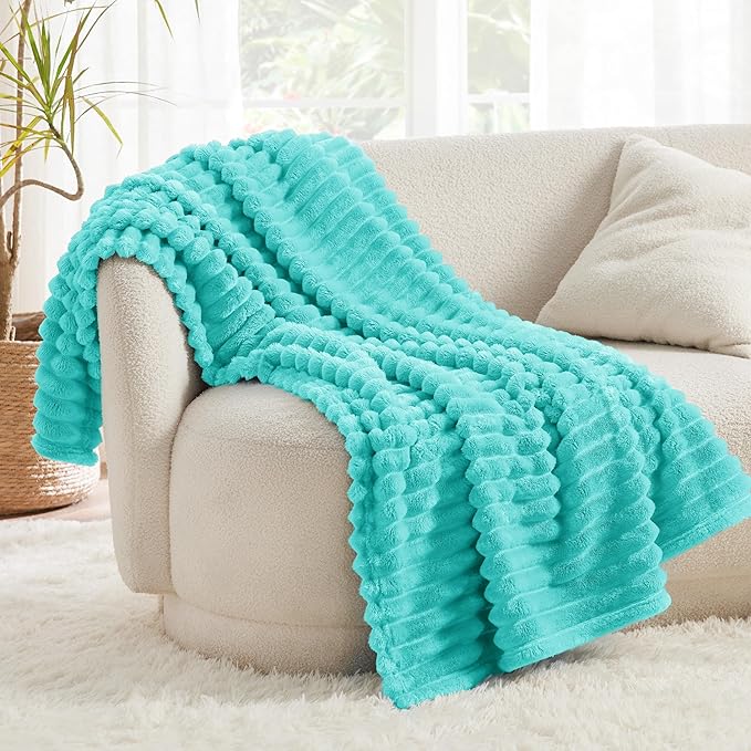 Bedsure GentleSoft Blue Fog Fleece Blanket for - Cozy Soft Blankets for Women, Cute Small Throws for Girls, 50x60 Inches
