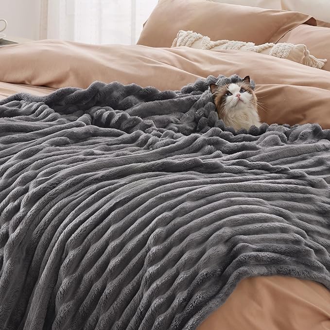 Bedsure GentleSoft Grey Twin Blanket for Bed - Super Soft Cozy Blankets for Women, Cute Large Blanket for Girls, 66x90 Inches
