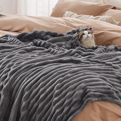 Bedsure GentleSoft Grey Twin Blanket for Bed - Super Soft Cozy Blankets for Women, Cute Large Blanket for Girls, 66x90 Inches