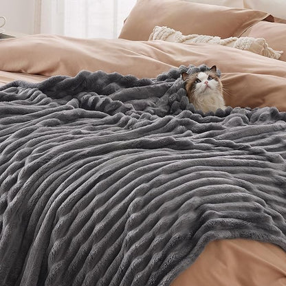 Bedsure GentleSoft Grey Fleece Twin Blanket for -Cozy Soft Blankets for Women, Cute Small Throws for Girls, 60x80 Inches