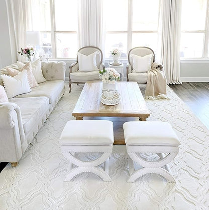 My Texas House Cotton Blossom Area Rug 7.9x10.10 Indoor Outdoor, Natural