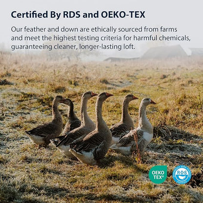 Pacific Coast Feather and Down Bed Pillows Standard Size Set of 2, Goose Feather and Down Hotel Pillow for Sleeping, Downproof, 3-Chamber, Medium Supportive, 100% Cotton Shell