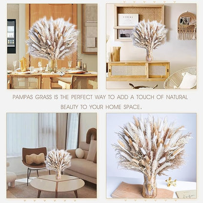 220PCS Natural Dried Pampas Grass Boho Home Decor Bouquet Phragmites Dried Flowers Bouquet for Wedding Floral Arrangements Home Decorations (220PCS)