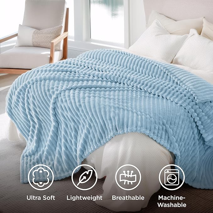 Bedsure GentleSoft Blue Fleece Blanket for - Cozy Soft Blankets for Women, Cute Small Throws for Girls, Light Blue, 90x90 Inches