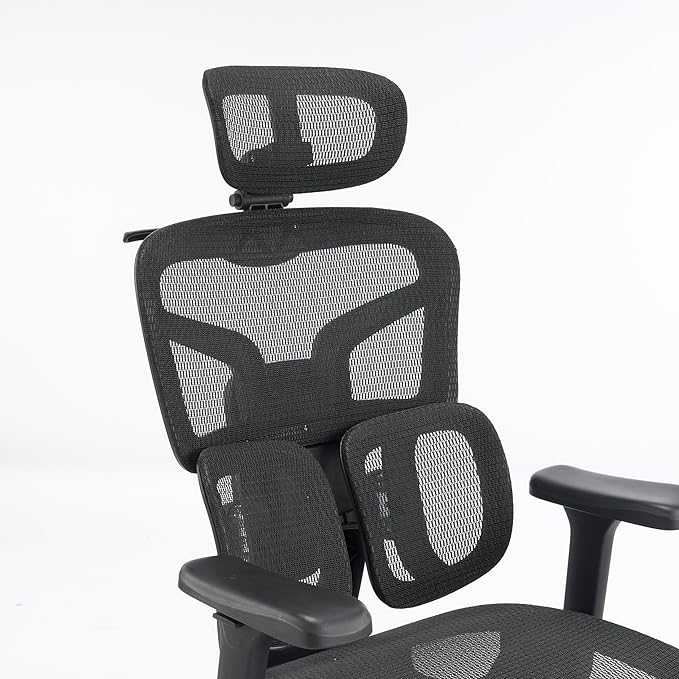 High-Back Ergonomic Mesh Office Chair, Modern Executive Desk Chair with 4D Armrests Computer Task Chair (Black Mesh Dual Lumbar Support)