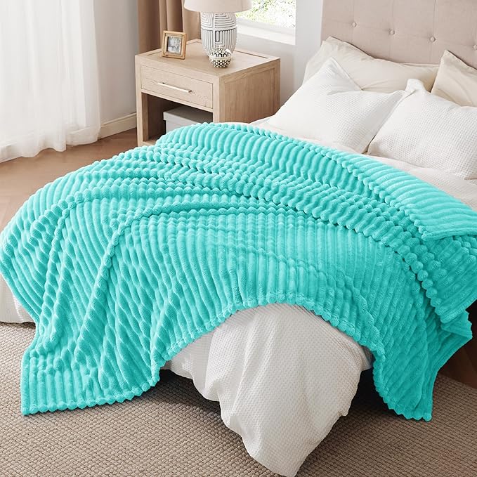 Bedsure GentleSoft Blue Queen Blanket for Bed - Cozy Soft Blankets for Women, Cute Small Fleece Throws for Girls, Birthday Gifts for Women Decor Gifts for Mom, Blue Fog, 90x90 Inches