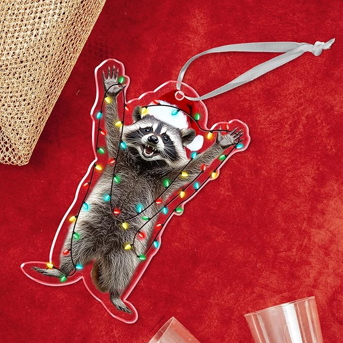 OASSIE Christmas Raccoon Gifts for Women Men - Acrylic Christmas Ornaments 2025 for Tree Decorations - Funny Racoon Gifts for Women Animal Lovers, Raccoon Ornament, Racoon Gift for Mom Dad Friends
