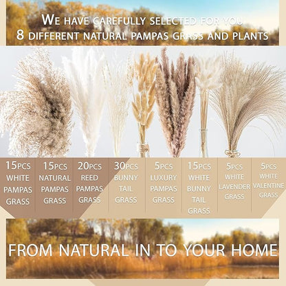 130PCS Natural Dried Pampas Grass Boho Home Decor Bouquet Phragmites Dried Flowers Bouquet for Wedding Floral Arrangements Home Decorations (130PCS)