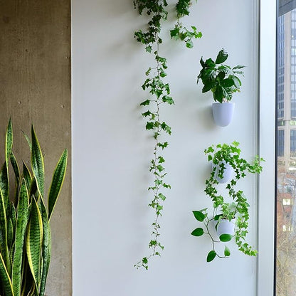 PlantPod Luxe Self-Watering Wall Planters (Set of 3) - Easy to Water and Install - Lightweight - Design Your Own Vertical Garden - Wall Planters for Indoor Plants