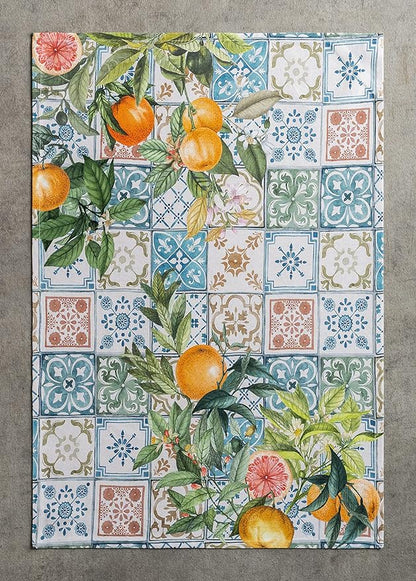 Maison d'Hermine Dish Towels 100% Cotton Absorbent Agrume Set of 3 Spring Summer